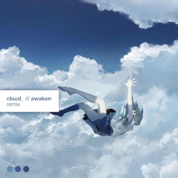 Awaken (Flay! remix)