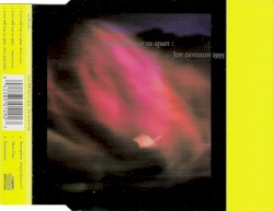 Love Will Tear Us Apart : Joy Division 1995