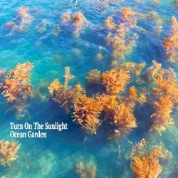 Ocean Garden