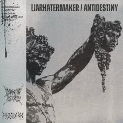 Liarhatermaker / Antidestiny