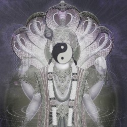 The Unified Consciousness