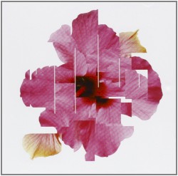 Orchestral Variations V.01