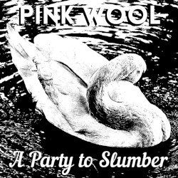 A Party to Slumber