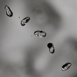 Burn You Up, Burn You Down (Up album promo version)