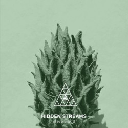 Hidden Streams
