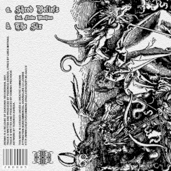 Shred Beliefs / The Six