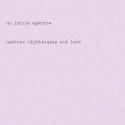 Neither Nightingale nor Lark