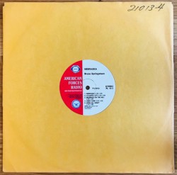 Nebraska / The Nylon Curtain