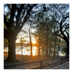 All Around Alienated