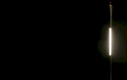 Live at the Gray Area