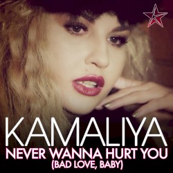 Never Wanna Hurt You