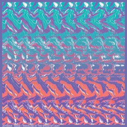 Ridge/Traveling at the Speed of Light