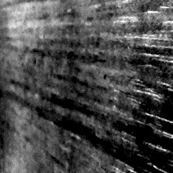 Vitauct / ცოდნის მფლობელები