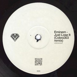Just Lose It (Cobra303 remix)