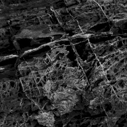 Back From the Tunnel