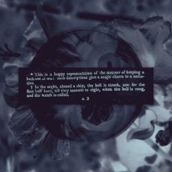 mirabilis