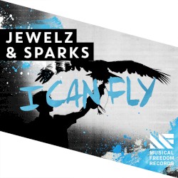 I Can Fly (Extended Mix)
