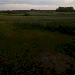 in the quantum state of boredom