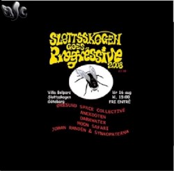 Slottsskogen Goes Progressive Festival 8/16/08