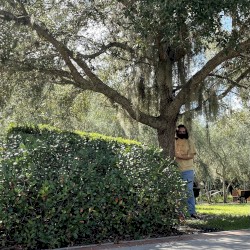 wetter salt (kaydence's mad ramblings)