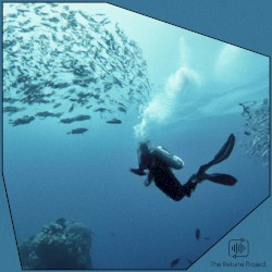 Somewhere Underwater