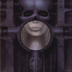 Brain Salad Surgery