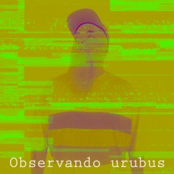 Observando Urubus
