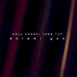 Anlamı Yok