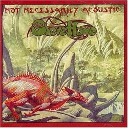 Not Necessarily Acoustic