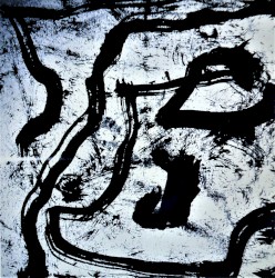 Plastic Masks/Fruit Flies