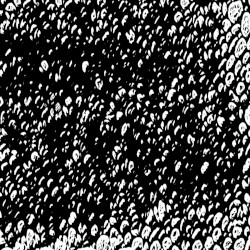 Grisaillement VIII
