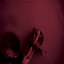 Deliver Us From Our Dreams