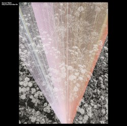 Only Love From Now On