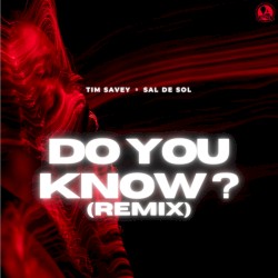 Do You Know? (remix)