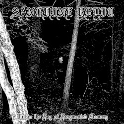 Within the Fog of Fragmented Memory