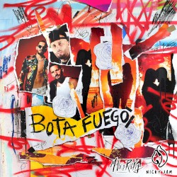 Bota fuego
