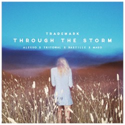 Through the Storm (Alesso X Tritonal X Bastille X Mako)