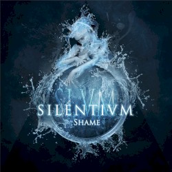 Shame (single version)