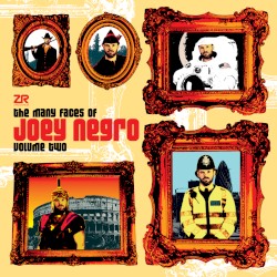 The Many Faces of Joey Negro, Volume 2