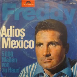 Adios Mexico / 5000 Meilen von zu Haus'