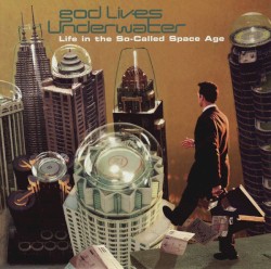 Life in the So‐Called Space Age