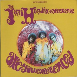 Are You Experienced