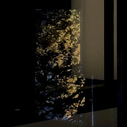 秋風 (Electric Autumn) -Live Recordings-