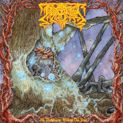 III: The Forest Within the Tree