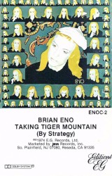 Taking Tiger Mountain (by Strategy)