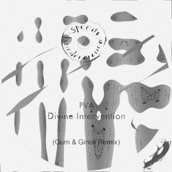 Divine Intervention (GUM & Ginoli remix)