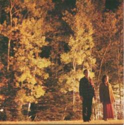 Songs Put Together for (The Broken Giant)