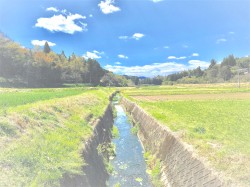 the murmuring of a stream