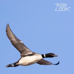 High Loon!