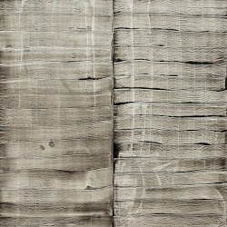 Ordinary Madness / Music Is The Answer (Acoustic)